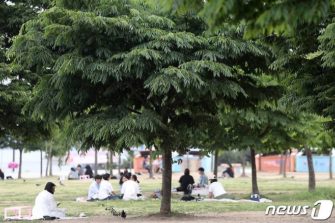 전국 대부분이 초여름 날씨를 보이고 있는 24일 오후 서울 여의도 한강공원을 찾은 시민들이 나무 그늘 아래서 휴식을 취하고 있다. 2023.5.24/뉴스1 ⓒ News1 이승배 기자