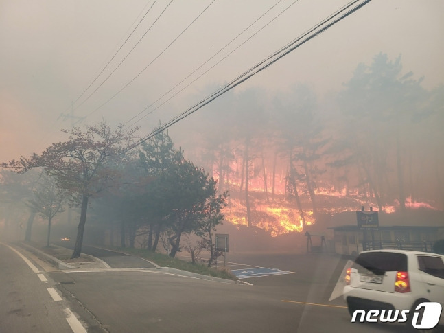 강릉 난곡동 산불 /사진=뉴스1