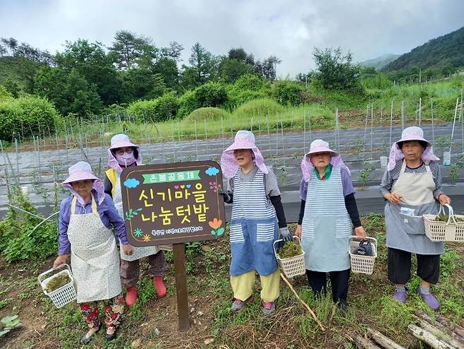 [거창=뉴시스] 거창군청 *재판매 및 DB 금지 *재판매 및 DB 금지