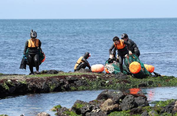 제주시 구좌읍 하도리 해녀들이 마을어장에서 물질을 마치고 뭍으로 나오고 있다.  제주도 제공