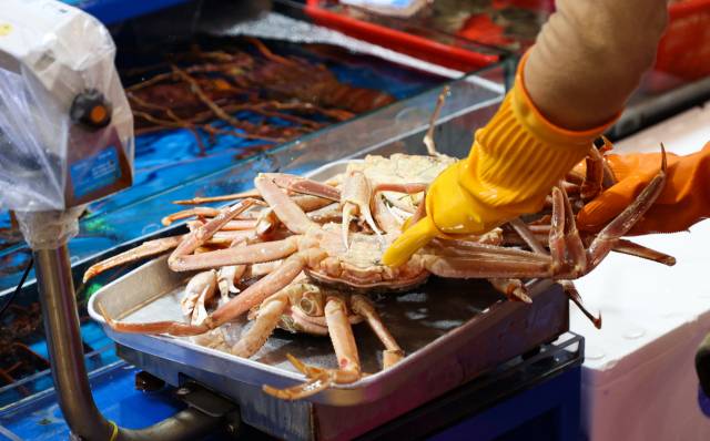 노량진시장에서 판매 중인 러시아산 대게/연합뉴스