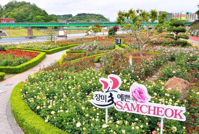 &nbsp;삼척 장미공원