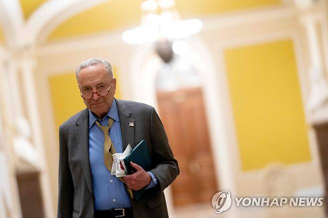 척 슈머 민주당 상원 원내대표 [AFP 연합뉴스 자료 사진. 재판매 및 DB 금지]