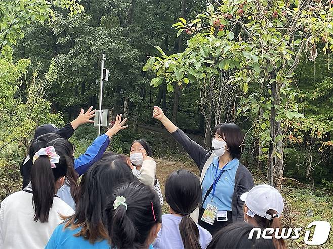 지난해 경북 칠곡군 석적읍 국립칠곡숲체원에서 대천초등학교(대구 소재) 학생들이 탄소중립 산림교육프로그램 ‘오감빙고’에 참여하고 있다.  (산림청 한국산림복지진흥원 제공) /뉴스1