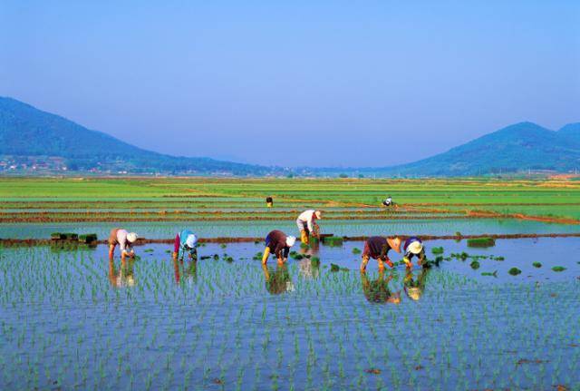 ⓒ게티이미지뱅크