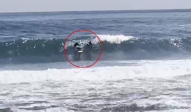 [제주=뉴시스] 오영재 기자 = 2일 오후 제주 서귀포시 중문동 중문색달해수욕장에서 물놀이객 2명이 제주의용소방대원과 서귀포해경 서프구조대에 의해 구조되고 있다. (사진=제주소방안전본부 제공) 2023.06.03. photo@newsis.com   *재판매 및 DB 금지