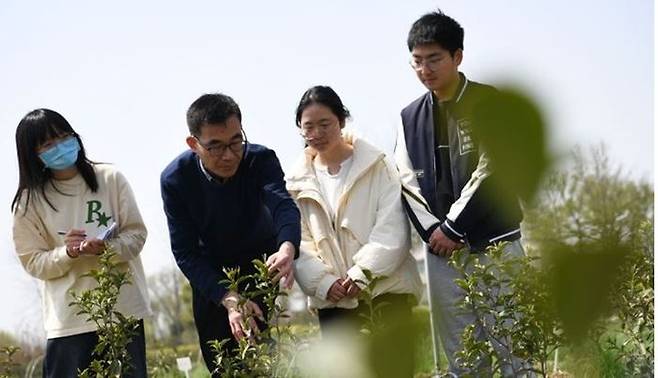 농촌 현장 실습을 나간 중국 안후이농대의 한 교수가 지난 3월 농작물을 살펴보며 학생들에게 설명하고 있다. ⓒ 신화/연합뉴스