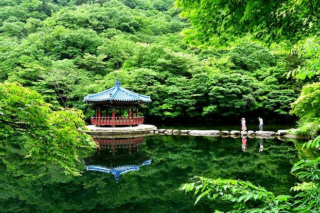 내장산 우화정.