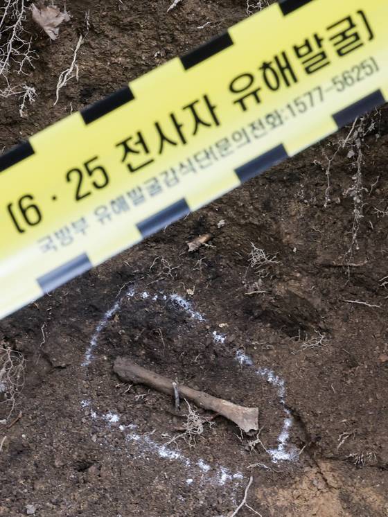 강원도 철원군 근남면 민통선 내 734고지에서 발굴한 정강이뼈 유해. 지난해 1차 발굴 작전 때는 25구를 찾았고, 지난달 24일 시작한 2차 발굴 작전 중에는 3구가 발견됐다.최기웅 기자