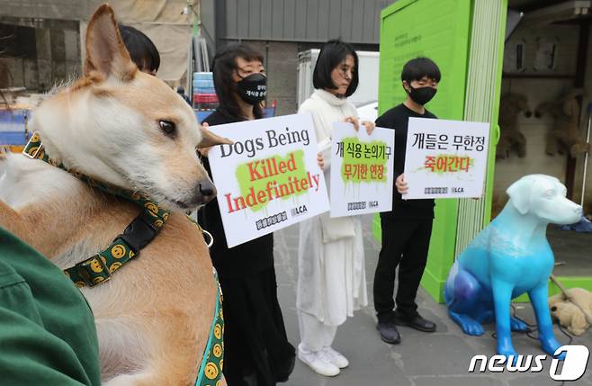 23일 서울 서대문구 신촌 유플렉스 앞 스타광장에서 동물해방물결 회원들이 '국제 강아지의 날'을 맞아 개 식용 문제의 종식을 촉구하는 기자회견을 하고 있다. /사진=뉴스1