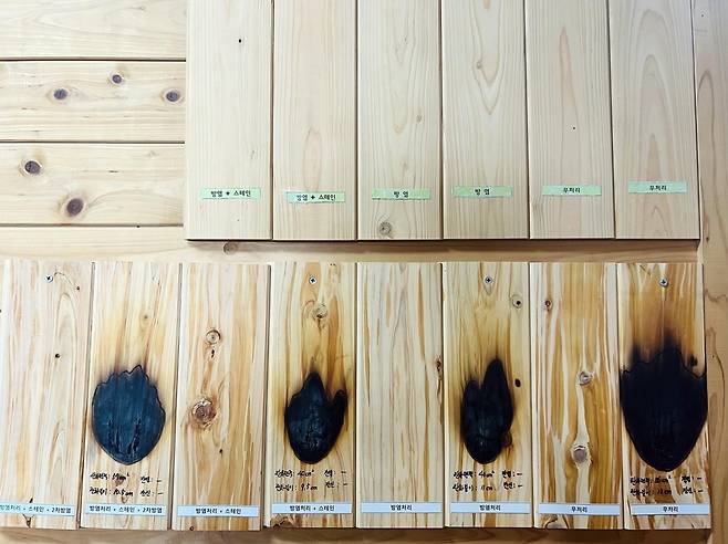 박희준 교수가 개발한 난연 목재 (전주=연합뉴스) 김진방 기자