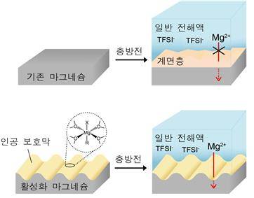 나노 구조를 만들어 활성화한 마그네슘 음극 [KIST 제공. 재판매 및 DB 금지]