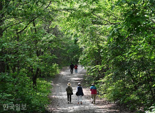 화천 해산령에서 평화의댐 아래 비수구미마을까지 계곡을 따라 내려가는 길은 인간의 간섭이 거의 없어 원시의 자연이 잘 보존돼 있다.