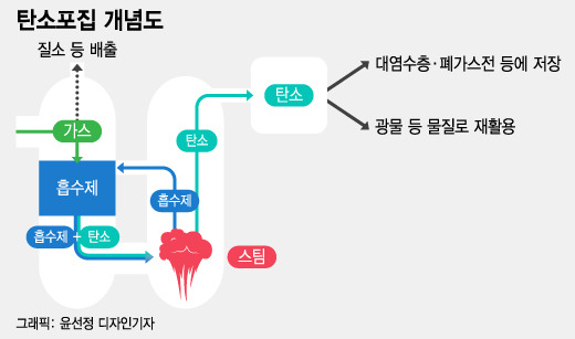 /그래픽=윤선정 디자인기자