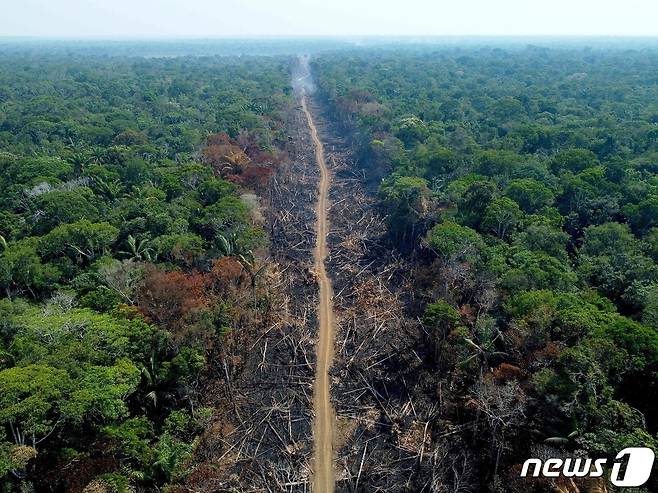 지난해 9월 브라질 아마조나스주(州) 휴마이트 고속도로를 건설하기 위해 아마존 열대우림이 불에 타고 벌채된 모습이다. 2022.9.16/ ⓒ AFP=뉴스1 ⓒ News1 김성식 기자