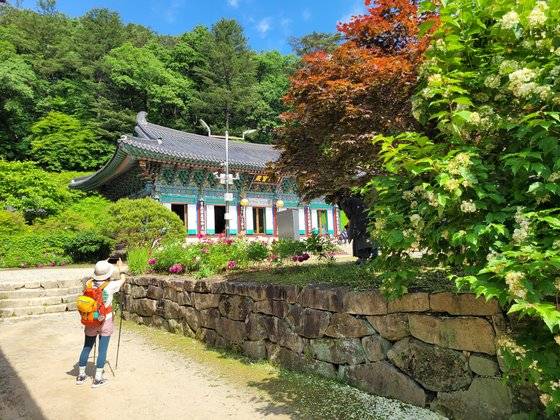 수타사계곡 트레킹은 수타사에 닿으면서 마무리된다. 천년고찰 수타사 구경은 덤이다.