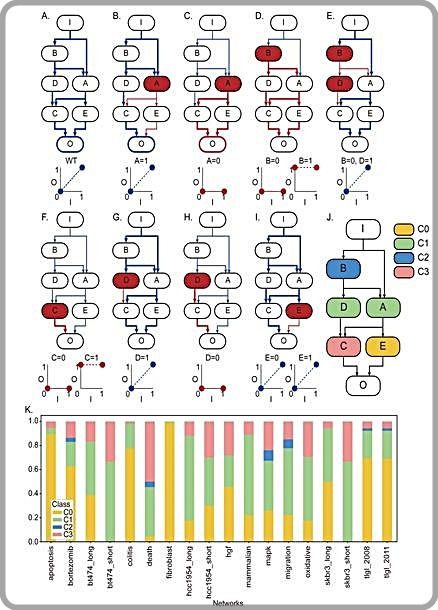 [대전=뉴시스] 유전자 조절 네트워크의 입출력 관계. 조 교수팀은 유전자 돌연변이가 유전자 조절 네트워크의 입출력 관계에 미치는 영향을 시뮬레이션 분석해 유전자들을 총 4개의 유형으로 분류했다(그림 A-J). 또 암 관련 유전자 조절 네트워크 18개의 유전자들을 분석, 각 네트워크를 구성하는 절반 이상의 유전자들이 돌연변이가 발생했을 때 적절한 제어를 통해 가역화가 가능한 것을 확인했다(그림 K).  *재판매 및 DB 금지