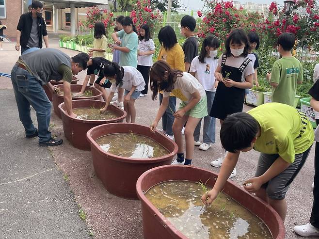 해남군이 최근 서울시 학교급식 공급 초등학교 14개소 친환경 해남쌀 체험포를 설치했다. 사진제공ㅣ해남군