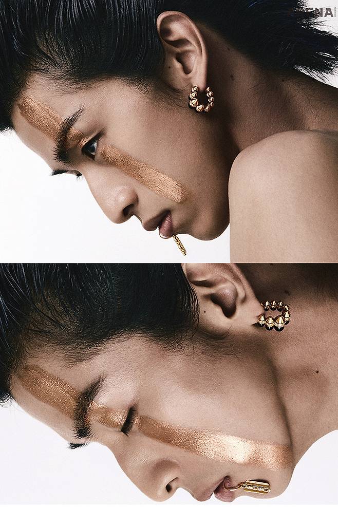 립 커프처럼 연출한 골드 손 레이저 태그 이어링 가격미정 스티븐 웹스터, 다이아몬드가 세팅된 클래쉬 드 까르띠에이 어링 라지 모델 가격미정 까르띠에 제품.