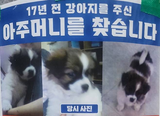 (온라인 커뮤니티 갈무리)