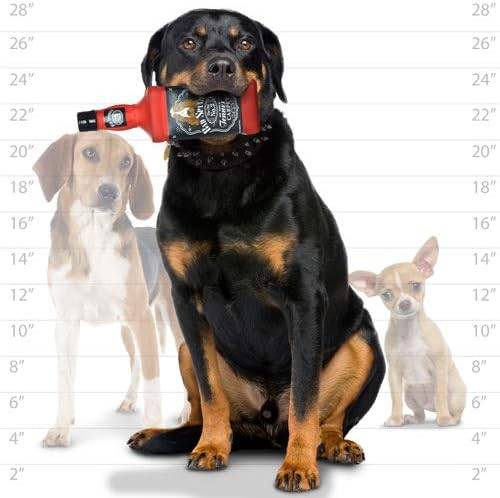 강아지가 잭다니엘 위스키병을 패러디한 장난감을 물고 있다. [사진=아마존]