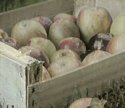 그룹 여행스케치의 리더 조병석씨가 기타를 만들 때 사용한 사과나무 상자.