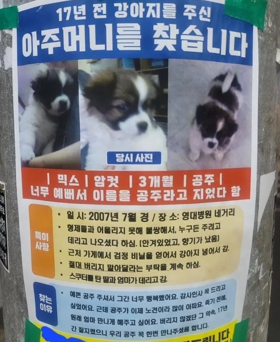 2007년 대구 영대병원 네거리에서 강아지를 분양해 준 한 아주머니를 찾는 내용의 전단. 온라인 커뮤니티