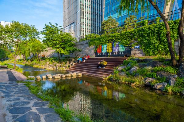 청계천의 평화로운 풍경