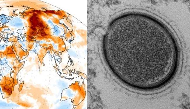 사상 최악의 폭염이 동토의 땅 시베리아를 덮치면서 영구동토층이 녹아 치명적인 병원균이 방출될 가능성이 커지고 있다.