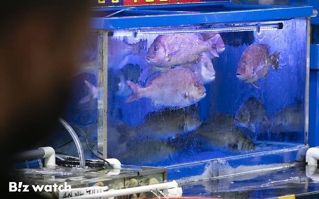 일본의&nbsp; 핵오염수 방류가 임박한 가운데 후쿠시마산 조피볼락(우럭)에서 방사성 물질 '세슘'이 식품 기준치의 180배나 검출돼 시민과 수산업자들의 불안감이 커지고 있다. 사진은 지난 8일 노량진 수산시장 모습./사진=이명근 기자 qwe123@