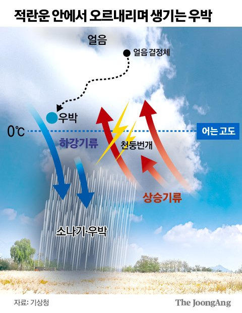 김주원 기자