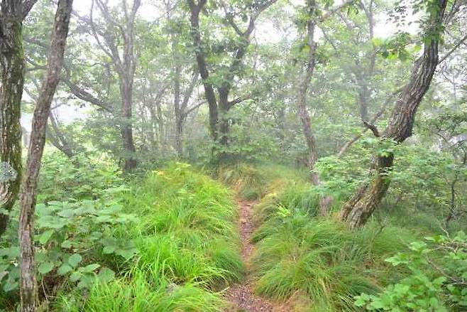 [대구=뉴시스] 작은관코박쥐의 서식지  *재판매 및 DB 금지