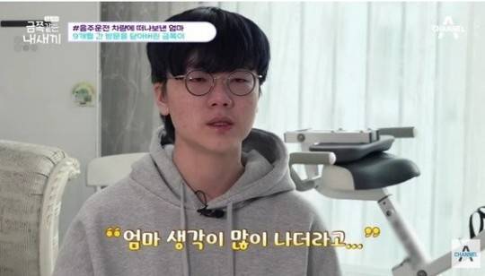 세종시 음주운전 교통사고 피해자의 아들 [채널A '금쪽같은 내새끼']