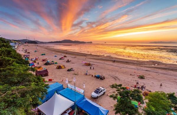 온라인 커뮤니티