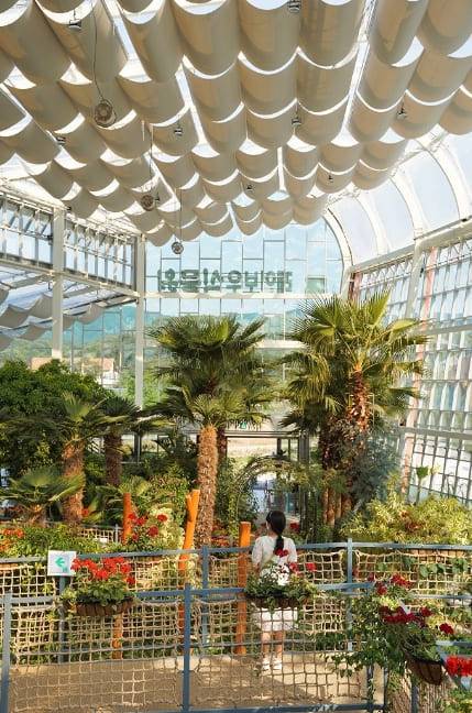 온라인 커뮤니티