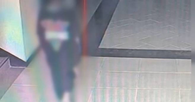 ▲ 캄보디아 언론이 공개한 CCTV 모습. 출처| TV조선 방송화면 캡처