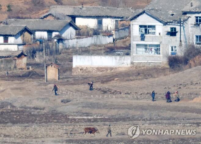 작업하는 북한 주민들 (파주=연합뉴스)  북한 김정일 국방위원장의 생일(광명성절)을 하루 앞둔 2023년 2월 15일 경기도 파주에서 바라본 황해북도 개풍군에서 북한 주민들이 흙을 나르고 있다. 2023.6.14 [연합뉴스 자료사진. 재판매 및 DB 금지] photo@yna.co.kr