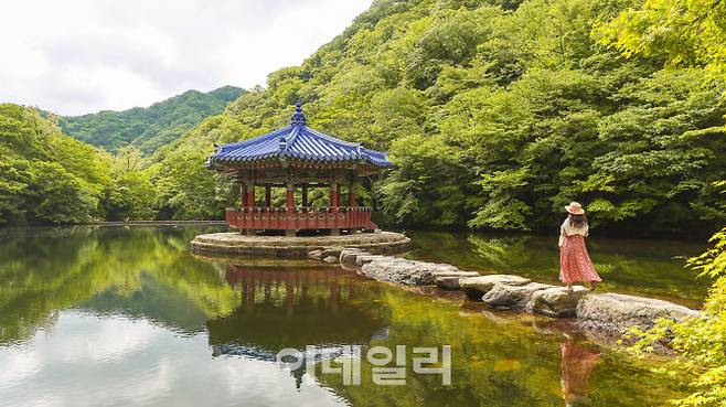 수면에 내장산이 반영되어 신비로운 분위기를 자아내는 우화정 (사진=김명상 기자)