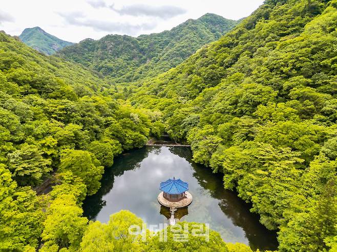 내장산 우화정 (사진=김명상 기자)