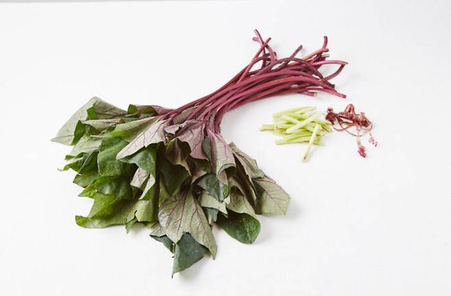 생 고구마순은 껍질을 벗긴 뒤 끓는 물에 소금을 약간 넣고 살짝 삶는다. 찬물에 여러 번 헹군 뒤 물기를 꼭 짜서 사용한다. [사진=국립농업과학원]