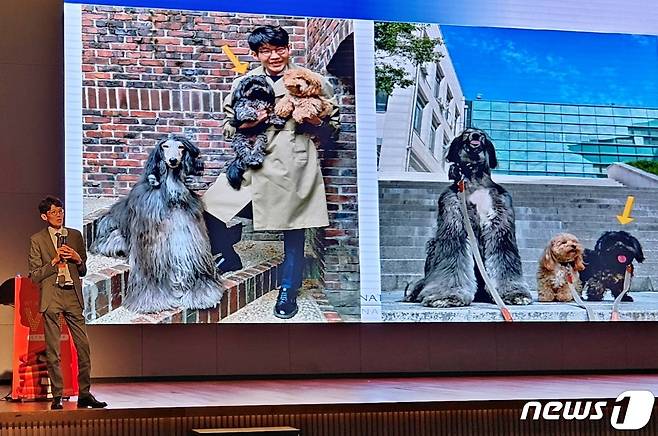 황철용 서울대 교수는 18일 시그니엘 부산에서 열린 조에티스 VIP심포지엄에서 ‘아포퀠, 사이토포인트 언제 어떻게 적용해야 하나요’라는 주제로 강의를 진행했다. ⓒ 뉴스1 최서윤 기자