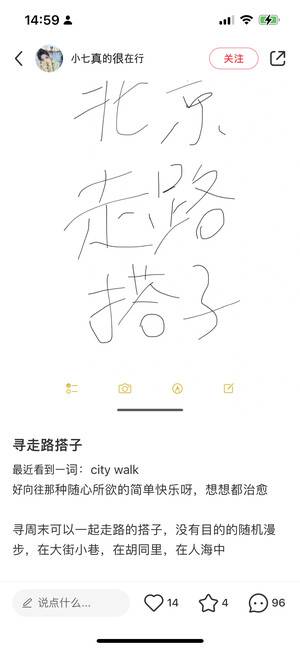 주말에 함께 베이징의 길거리를 산책할 다쯔를 구한다는 내용.