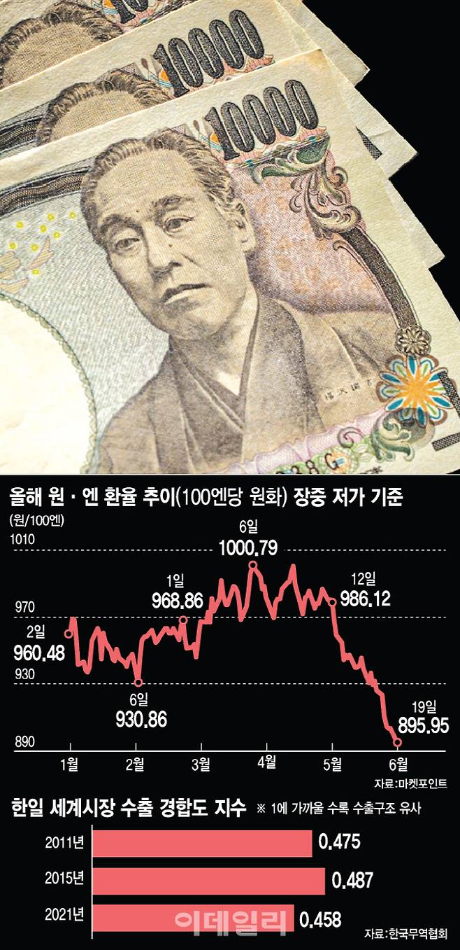 [이데일리 이미나 기자]