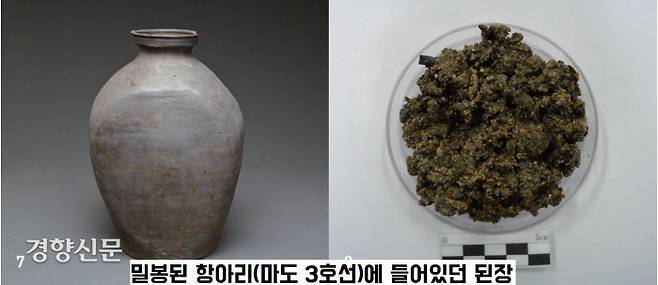 마도 3호선에서 출수된 항아리는 초본류로 밀봉되어 있었다. 그 안에는 된장으로 추정되는 내용물이 들어 있었다. |국립해양문화재연구소 제공