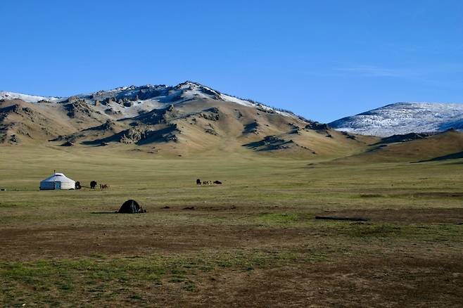 몽골 초원 / 사진=언스플래쉬