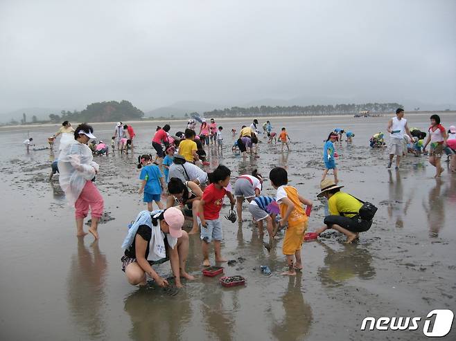 ‘2023 고창갯벌축제’가 이달 23일부터 25일까지 전북 고창군 심원면 만돌갯벌에서 열린다. 사진은 지난해 축제 조개잡이 행사(고창군 제공)2023.6.21/뉴스1