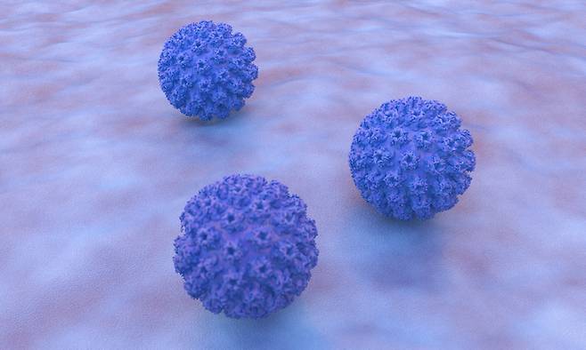HPV 11형의 바이러스의 모형.