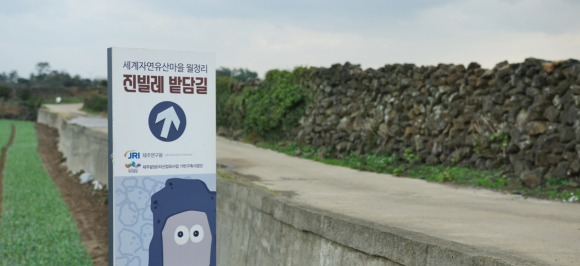 제주관광공사 제공