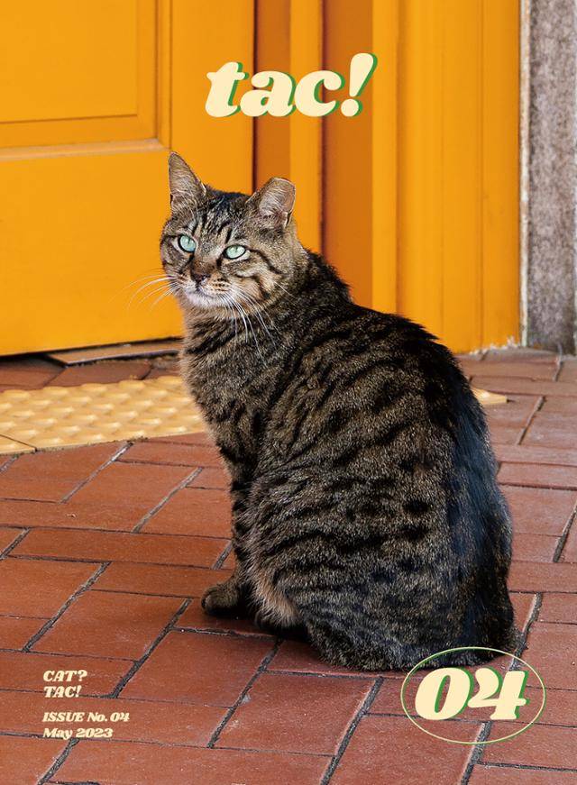 고양이 연구 논문 8편을 실은 '매거진 탁(tac)!' 4호 표지. 매거진 탁 제공