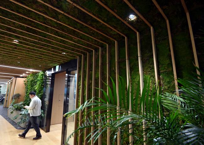 공기 정화를 위해 배치된 식물.  박윤슬 기자